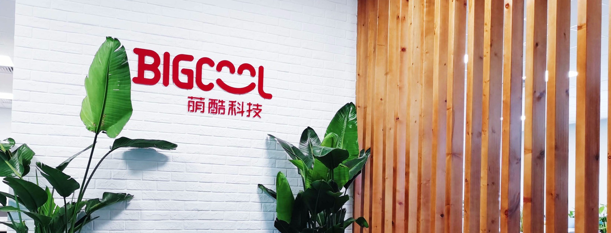 About Bigcool